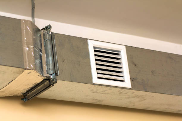 Best Home Air Vent Cleaning  in Anza, CA